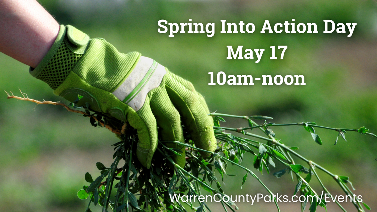 Image of person pulling invasive plant species